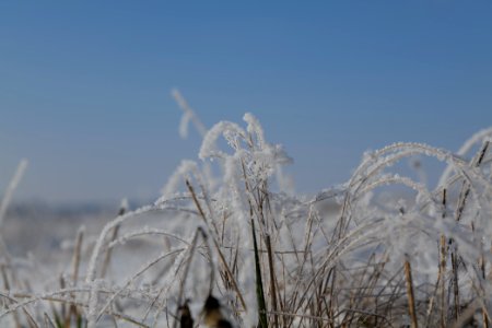 Ferbitzer Bruch with snow 2021-02-14 55