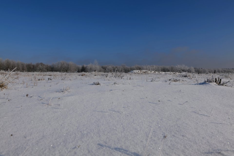 Ferbitzer Bruch with snow 2021-02-14 53