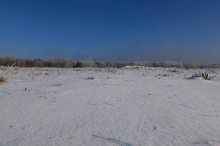 Ferbitzer Bruch with snow 2021-02-14 53
