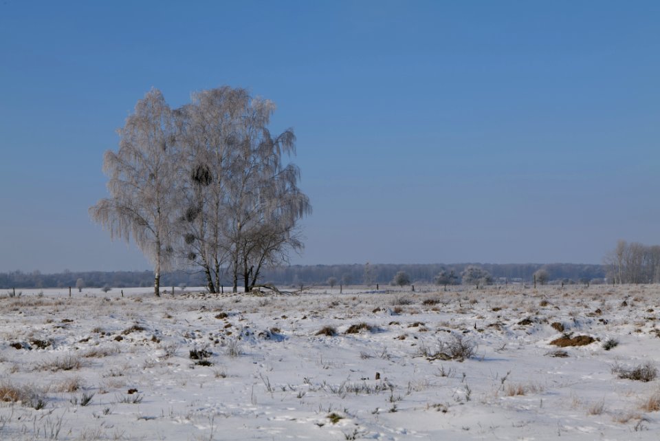 Ferbitzer Bruch with snow 2021-02-14 59