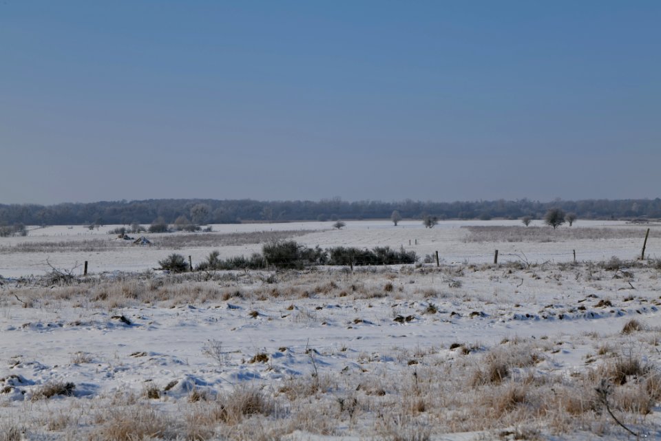Ferbitzer Bruch with snow 2021-02-14 41