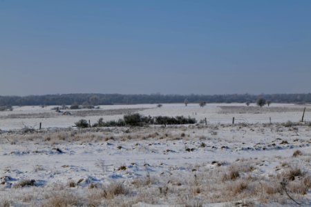 Ferbitzer Bruch with snow 2021-02-14 41