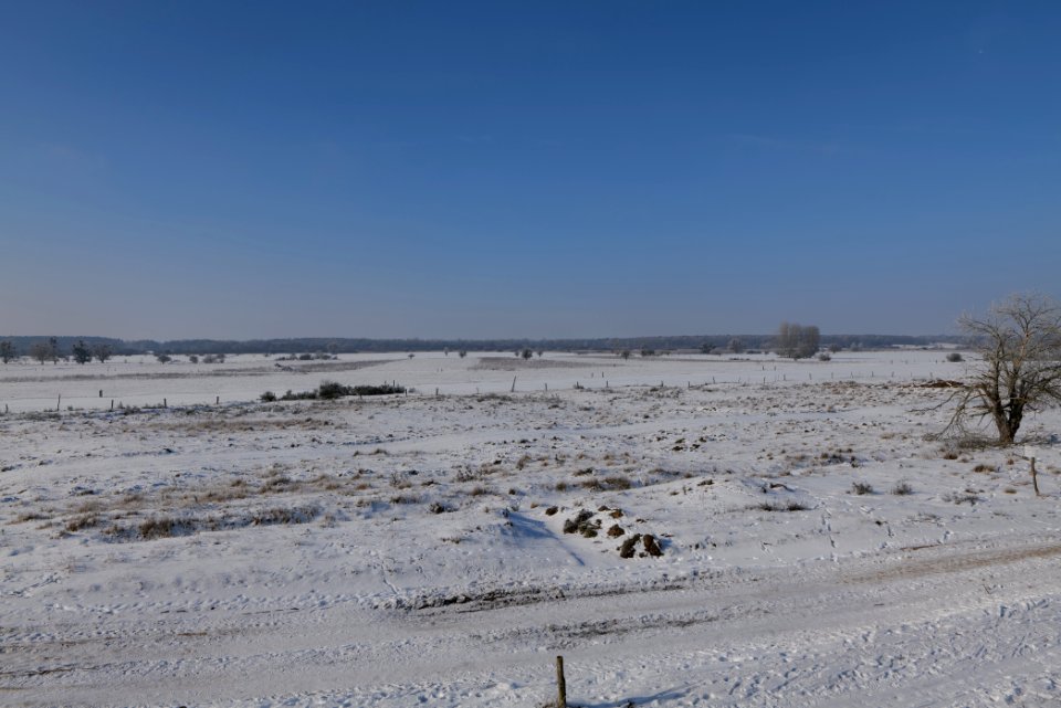Ferbitzer Bruch with snow 2021-02-14 46