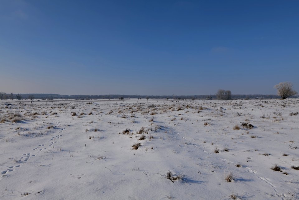 Ferbitzer Bruch with snow 2021-02-14 36