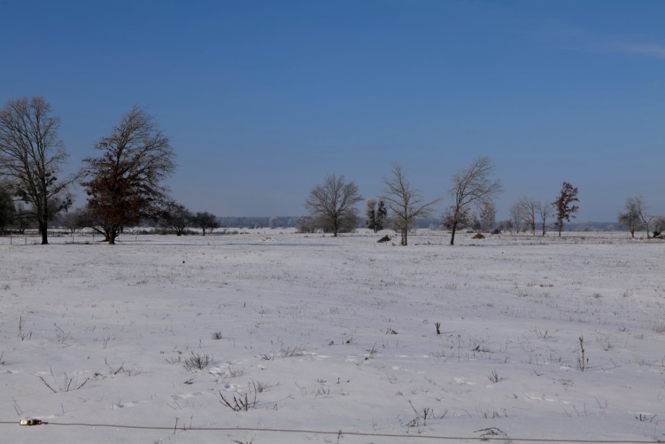 Ferbitzer Bruch with snow 2021-02-14 71