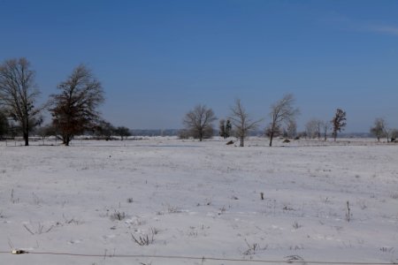 Ferbitzer Bruch with snow 2021-02-14 71