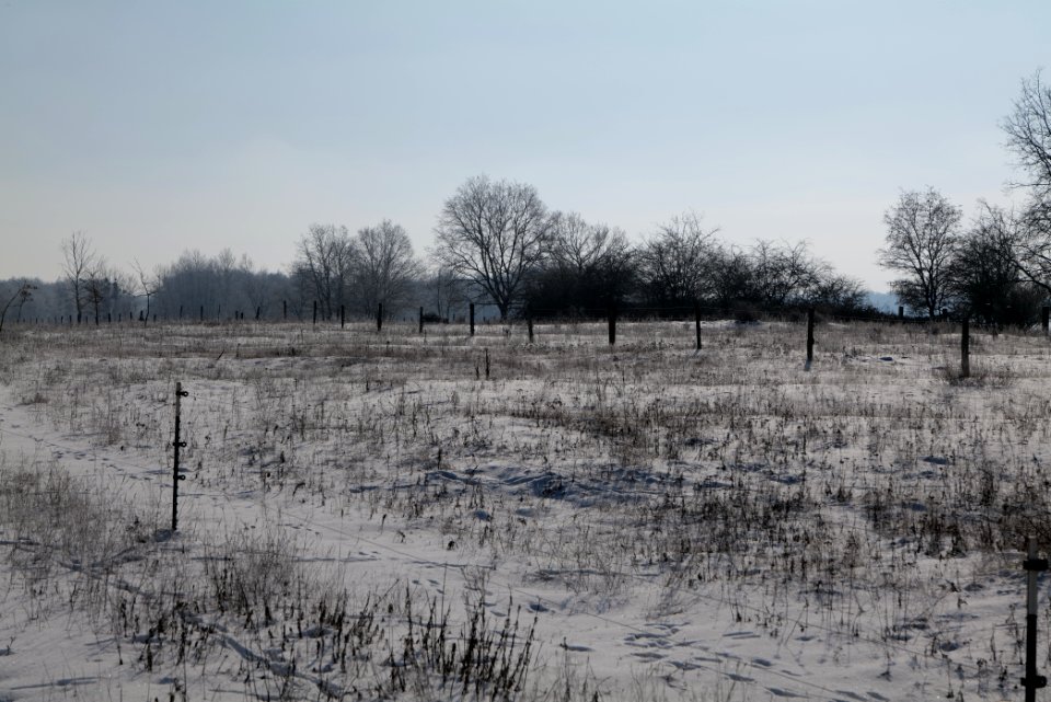 Ferbitzer Bruch with snow 2021-02-14 72