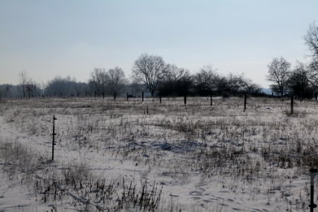 Ferbitzer Bruch with snow 2021-02-14 72
