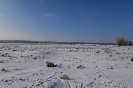 Ferbitzer Bruch with snow 2021-02-14 26