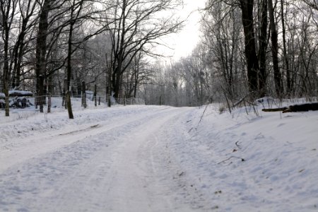 Ferbitzer Bruch Döberitzer Heide round trail with snow 2021-02-14 09