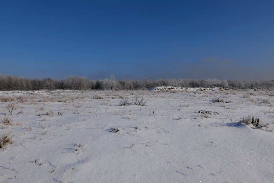 Ferbitzer Bruch with snow 2021-02-14 52