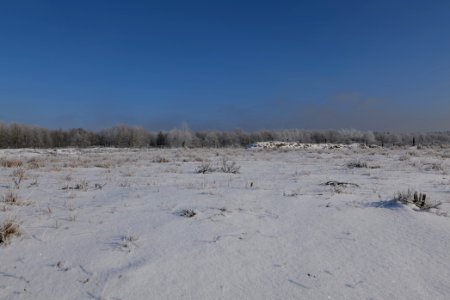 Ferbitzer Bruch with snow 2021-02-14 52
