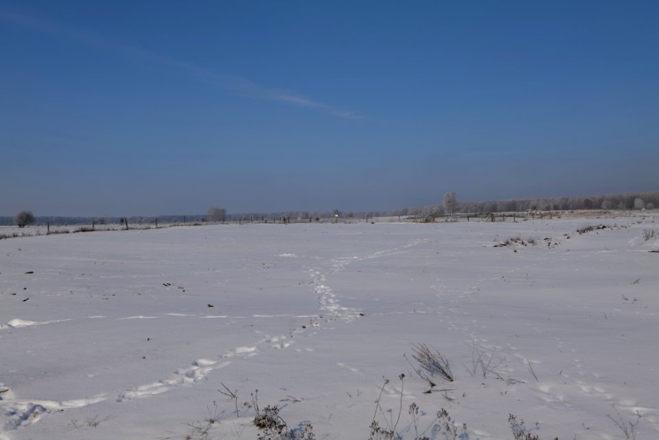 Ferbitzer Bruch with snow 2021-02-14 65