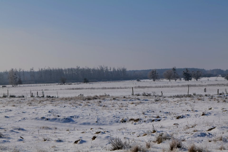Ferbitzer Bruch with snow 2021-02-14 42