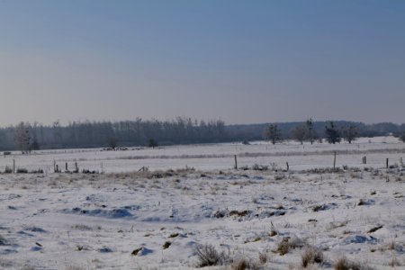 Ferbitzer Bruch with snow 2021-02-14 42