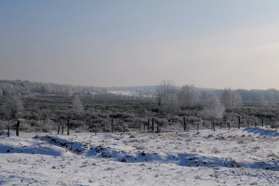Ferbitzer Bruch Döberitzer Heide wilderness area with snow 2021-02-14 10