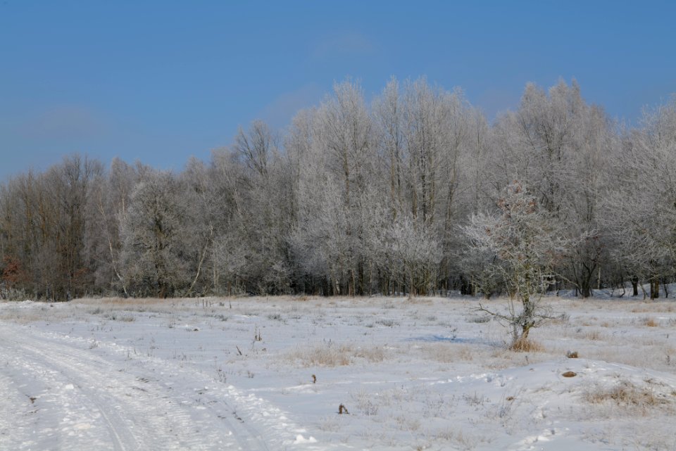 Ferbitzer Bruch with snow 2021-02-14 21