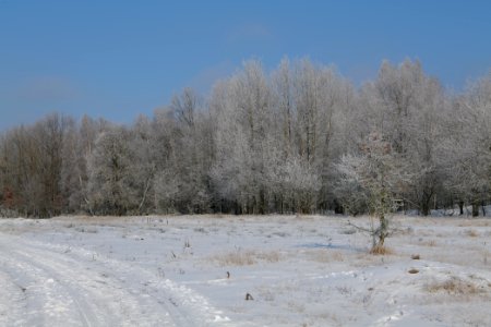 Ferbitzer Bruch with snow 2021-02-14 21
