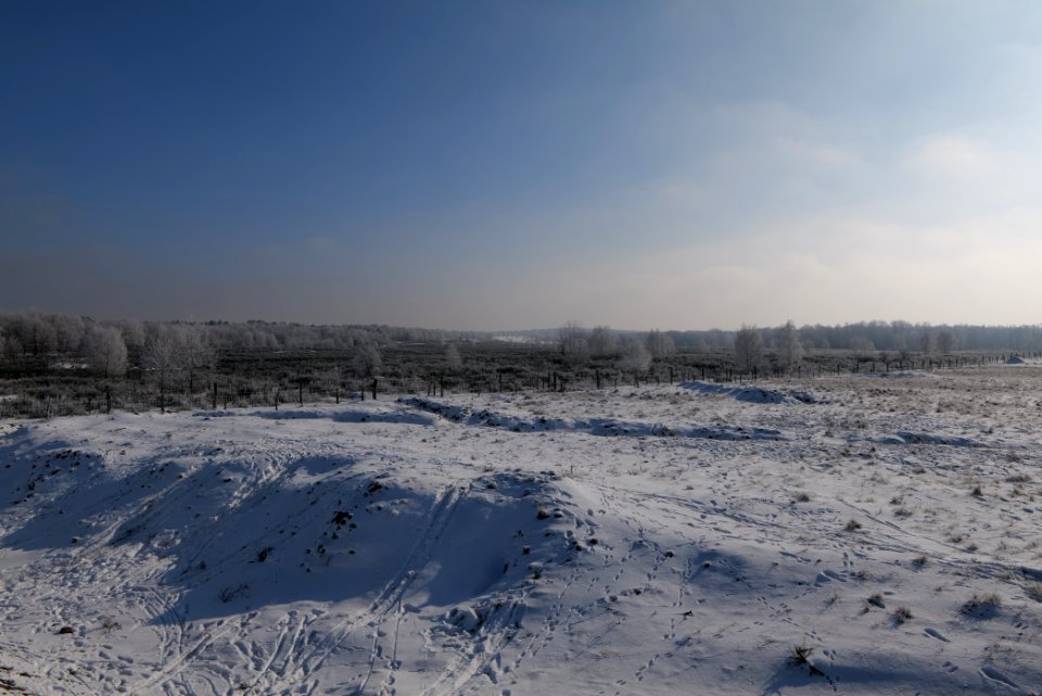 Ferbitzer Bruch Döberitzer Heide wilderness area with snow 2021-02-14 09