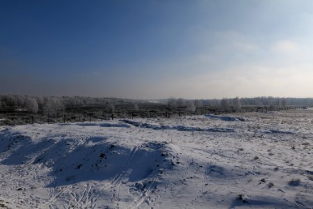 Ferbitzer Bruch Döberitzer Heide wilderness area with snow 2021-02-14 09
