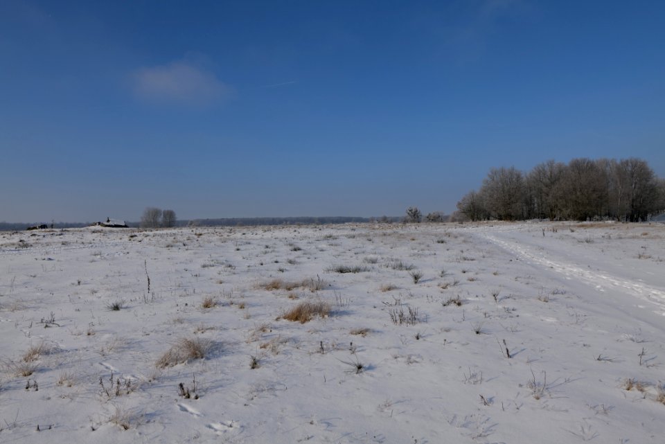 Ferbitzer Bruch with snow 2021-02-14 14