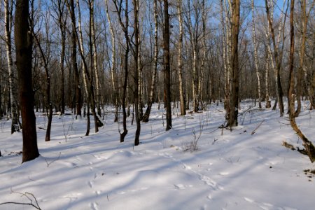 Ferbitzer Bruch with snow 2021-02-14 12