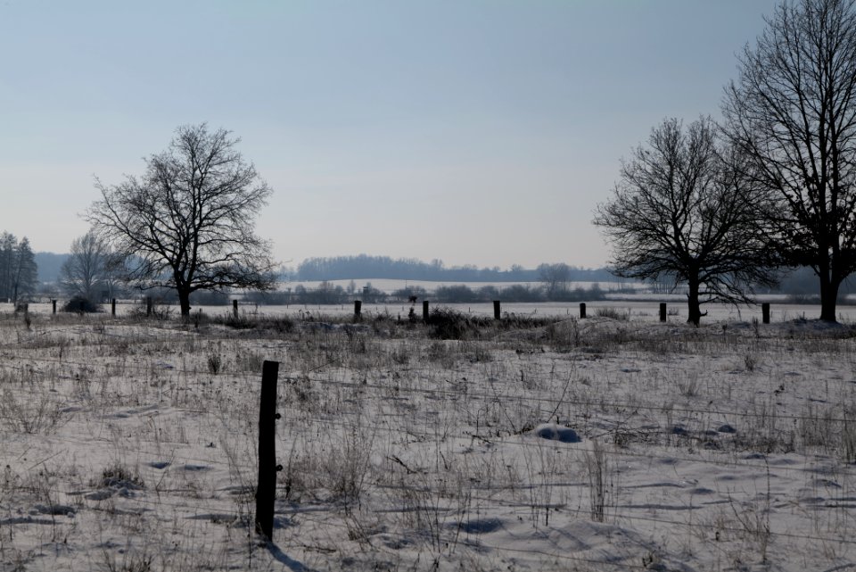 Ferbitzer Bruch with snow 2021-02-14 75