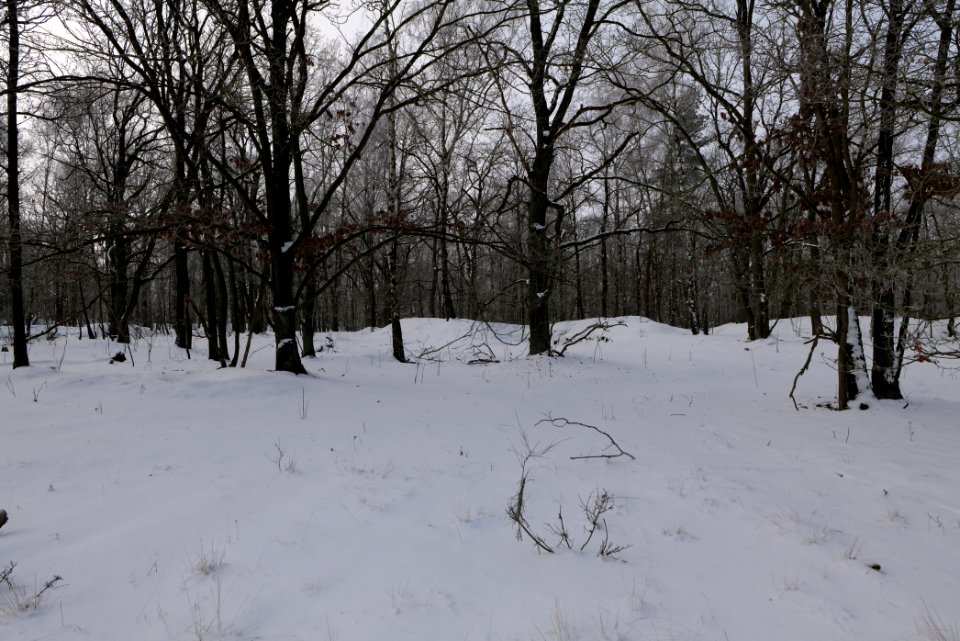 Ferbitzer Bruch with snow 2021-02-14 02
