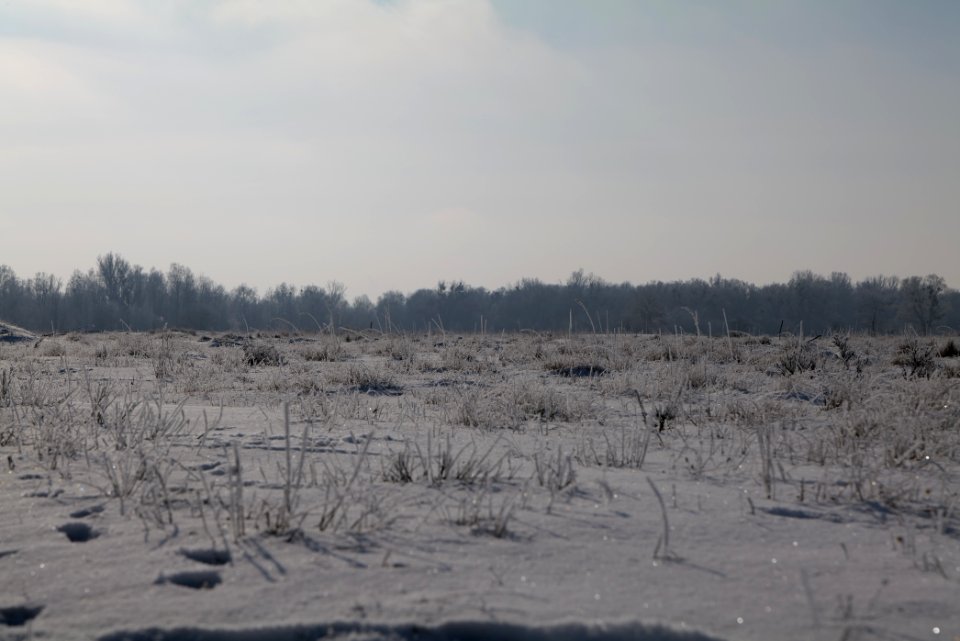 Ferbitzer Bruch with snow 2021-02-14 61