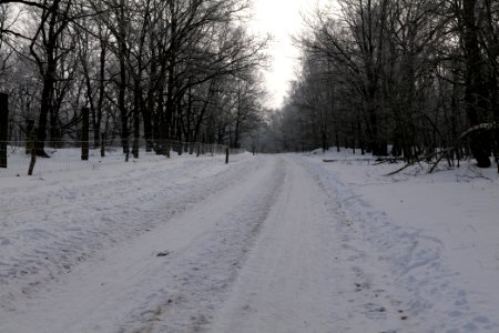 Ferbitzer Bruch Döberitzer Heide round trail with snow 2021-02-14 03