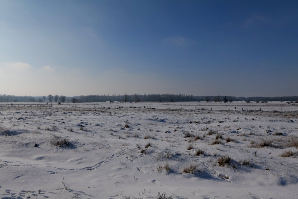 Ferbitzer Bruch with snow 2021-02-14 44