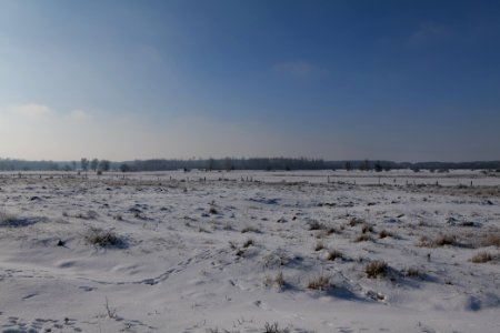 Ferbitzer Bruch with snow 2021-02-14 44