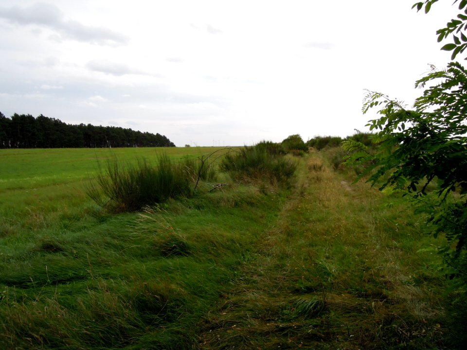 Feldweg Richtung Schönefeld an der Grenze zwischen Brandenburg und Sachsen-Anhalt 2017