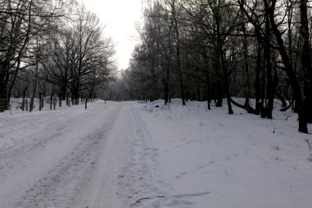 Ferbitzer Bruch Döberitzer Heide round trail with snow 2021-02-14 05
