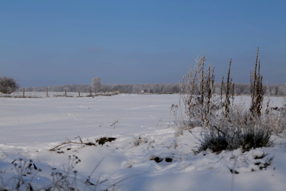 Ferbitzer Bruch with snow 2021-02-14 66