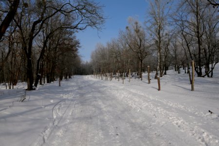 Ferbitzer Bruch Döberitzer Heide round trail with snow 2021-02-14 16