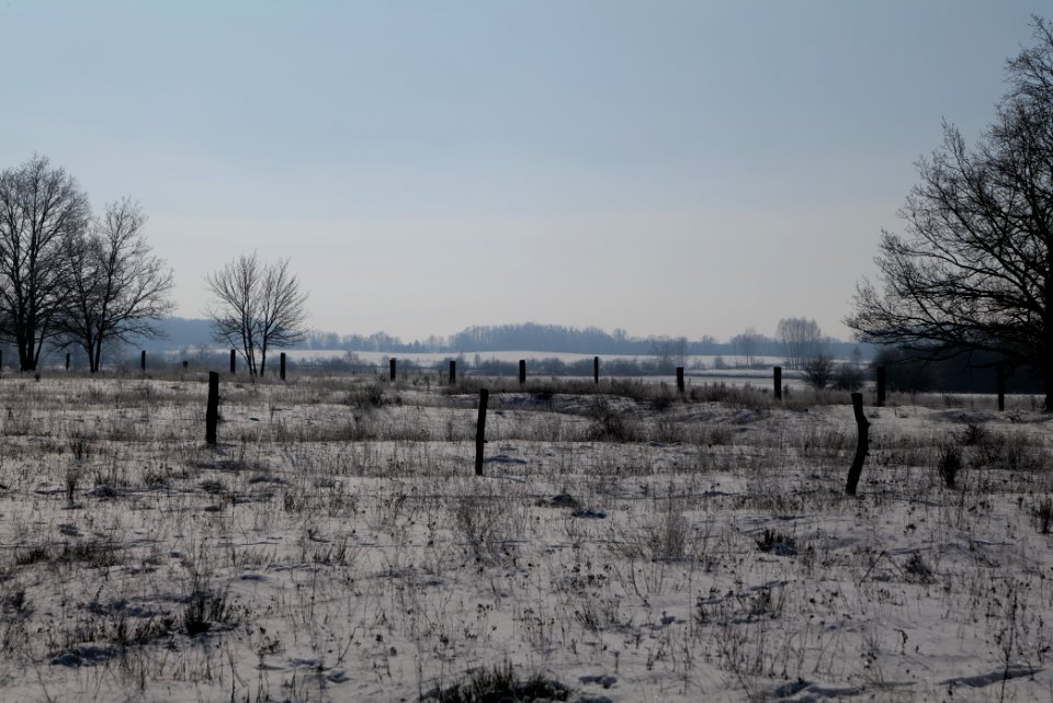 Ferbitzer Bruch with snow 2021-02-14 73