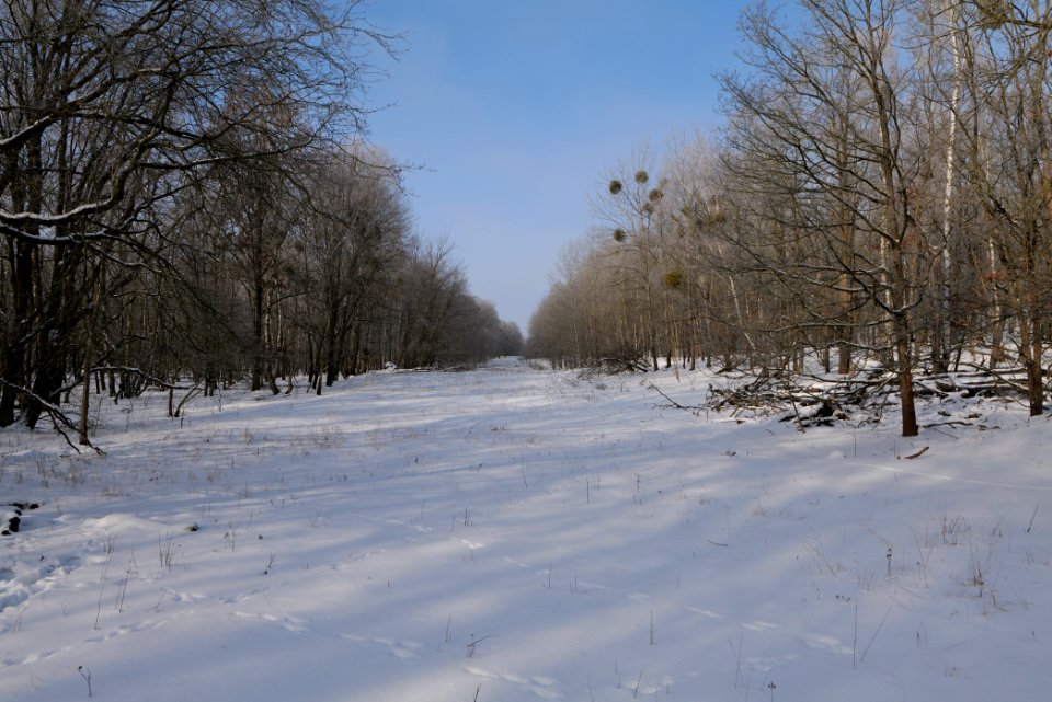 Ferbitzer Bruch with snow 2021-02-14 07