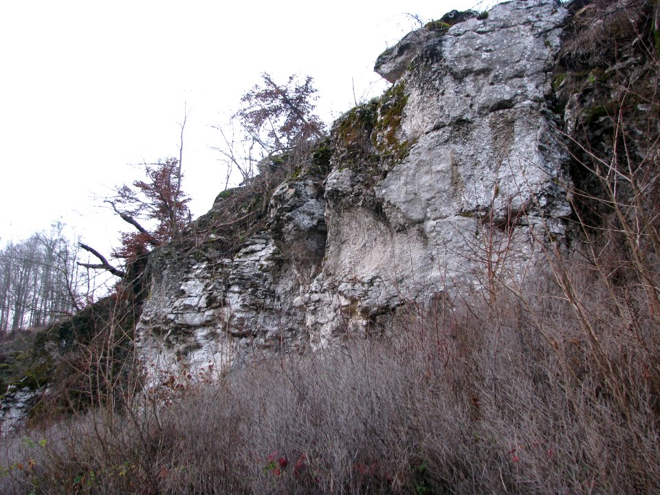 Felsprojekt Jura (1)