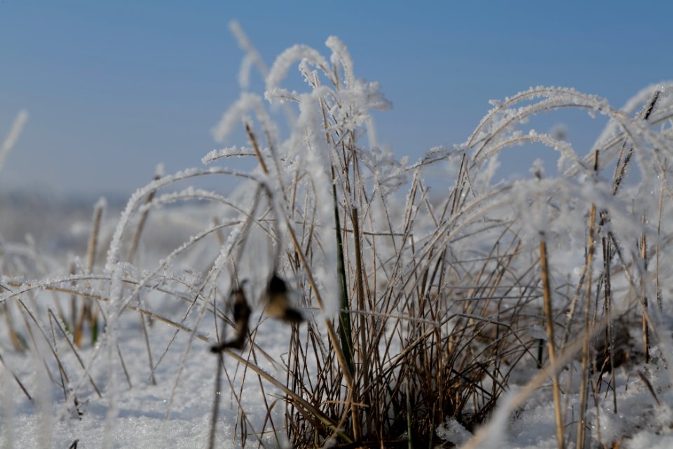 Ferbitzer Bruch with snow 2021-02-14 54