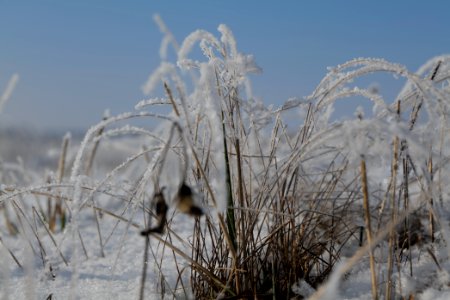Ferbitzer Bruch with snow 2021-02-14 54