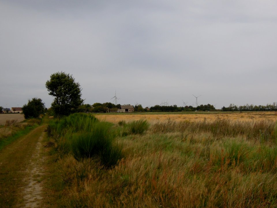 Feldweg Richtung Schönefeld von Süden kommend nach Norden blickend 2017