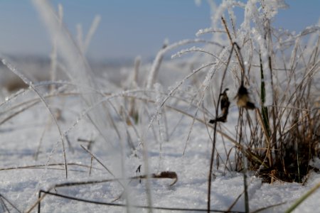 Ferbitzer Bruch with snow 2021-02-14 56