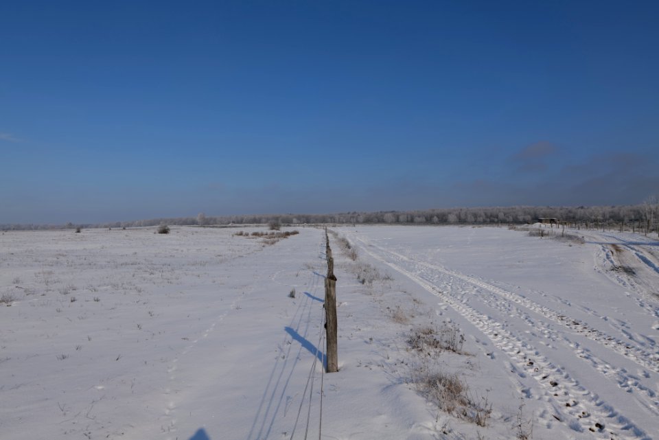 Ferbitzer Bruch with snow 2021-02-14 68
