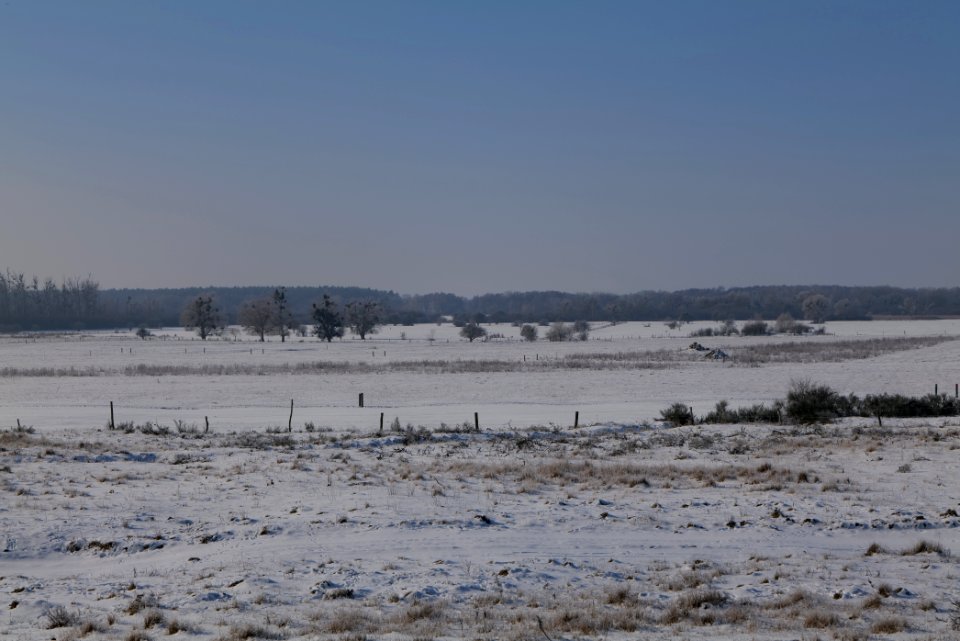 Ferbitzer Bruch with snow 2021-02-14 48