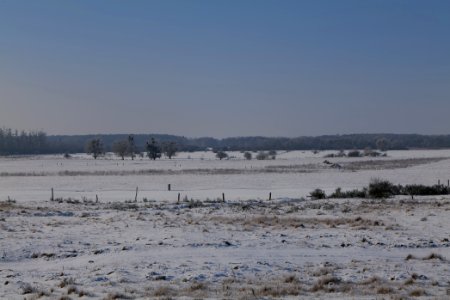 Ferbitzer Bruch with snow 2021-02-14 48