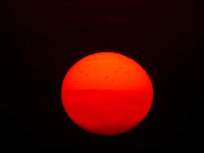 Red sunset nature