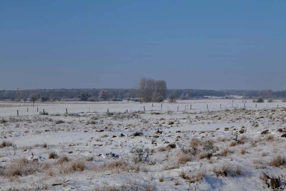 Ferbitzer Bruch with snow 2021-02-14 40