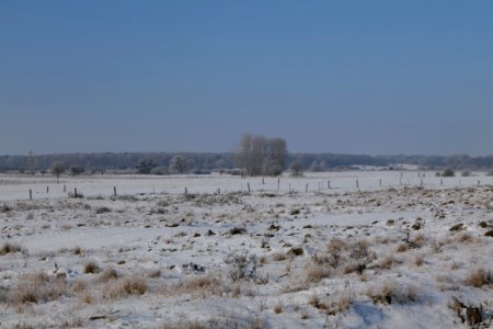 Ferbitzer Bruch with snow 2021-02-14 40