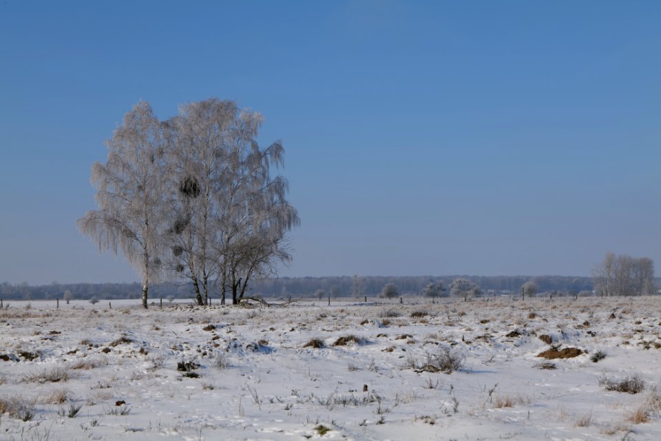 Ferbitzer Bruch with snow 2021-02-14 60